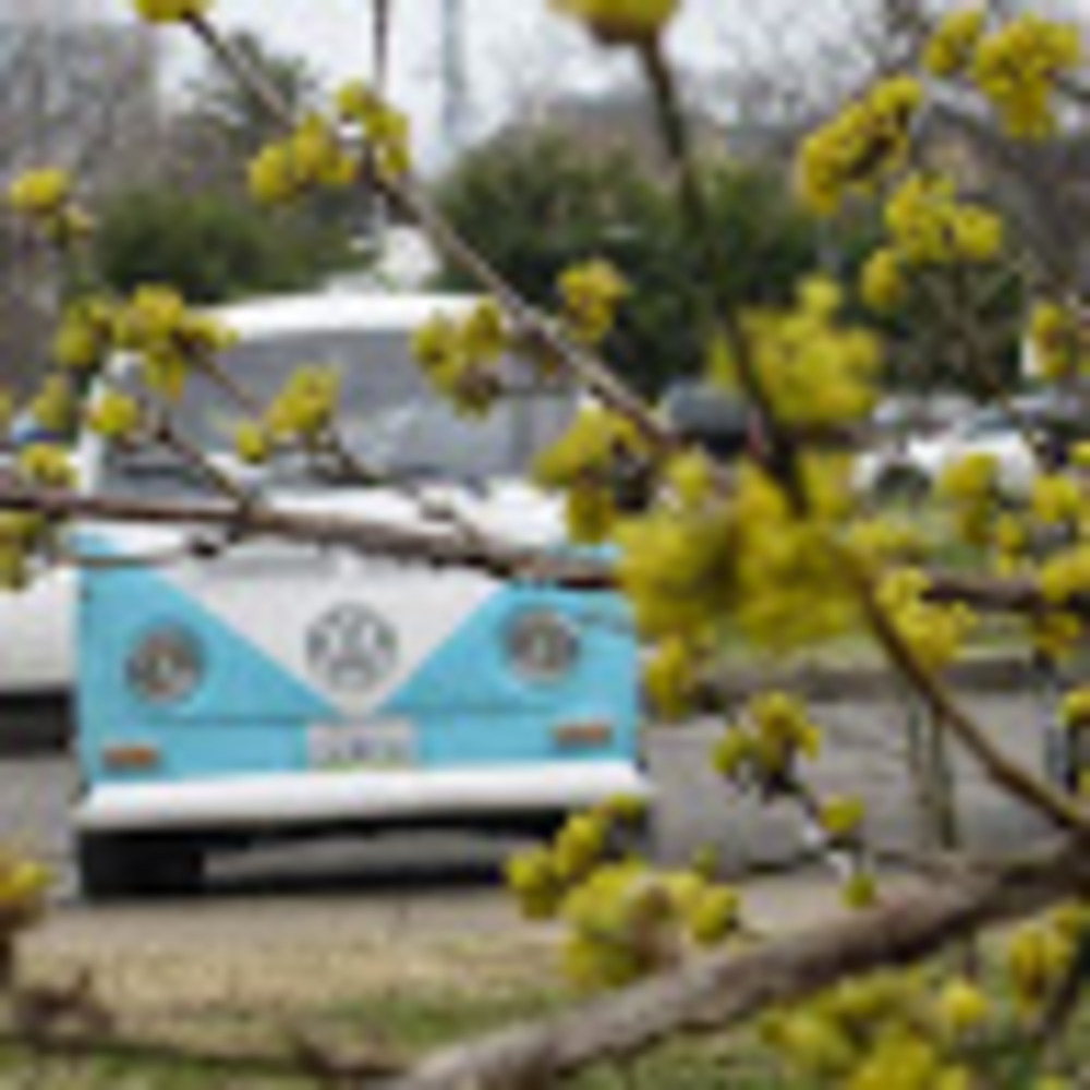 Meet your Posher, Tia